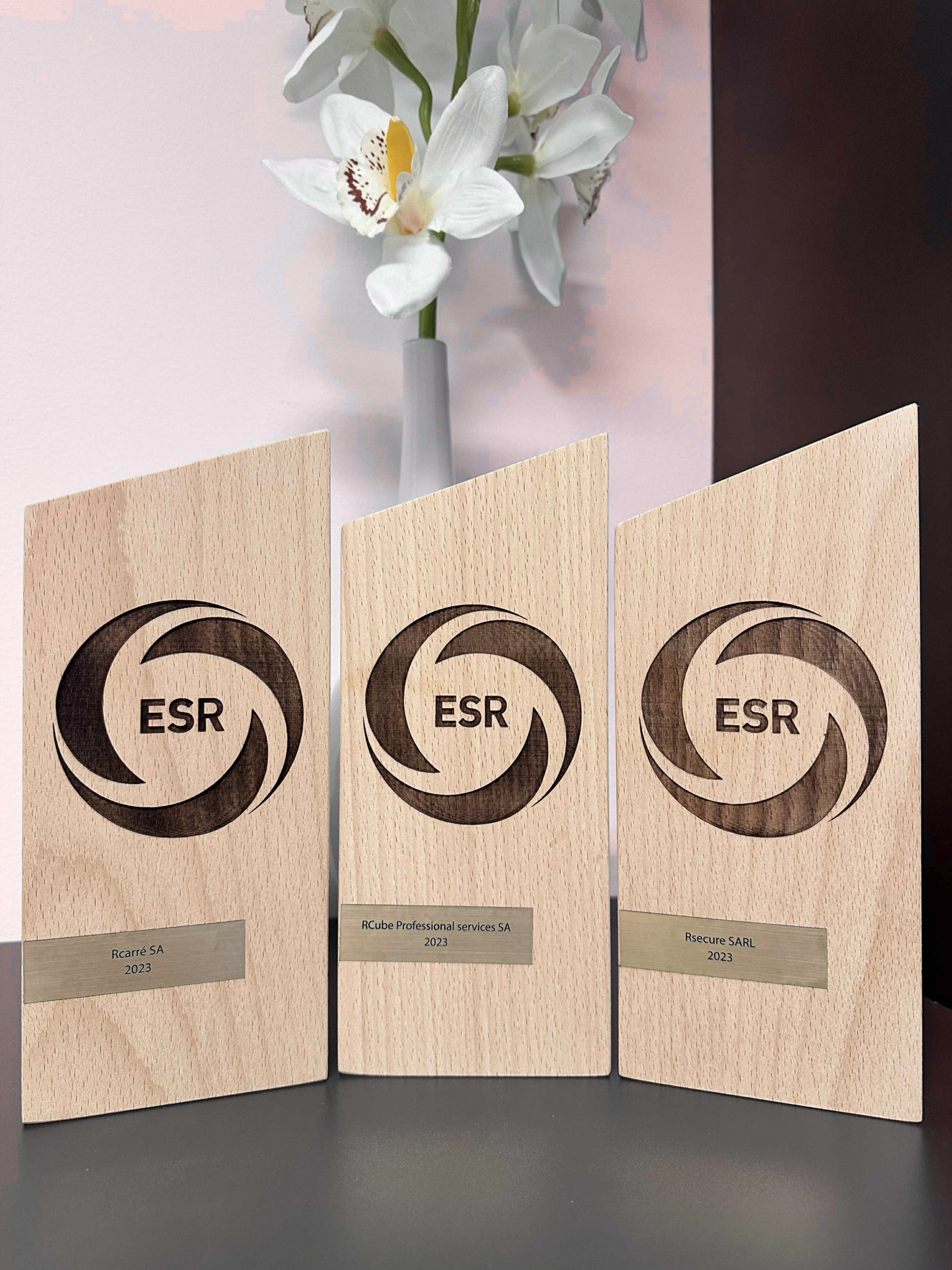 image du service Le RSE chez Rcarré